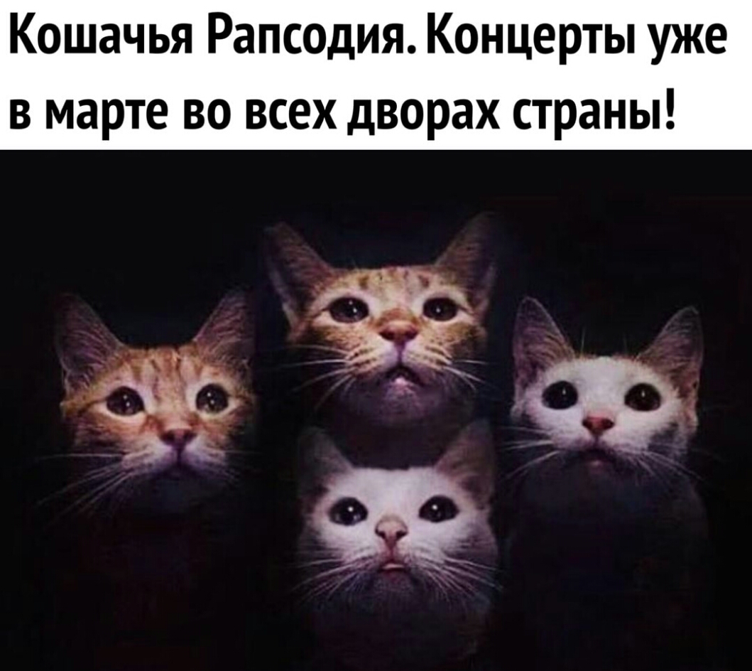 Кошачья Рапсодия Концерты уже в марте во всех дворах страны