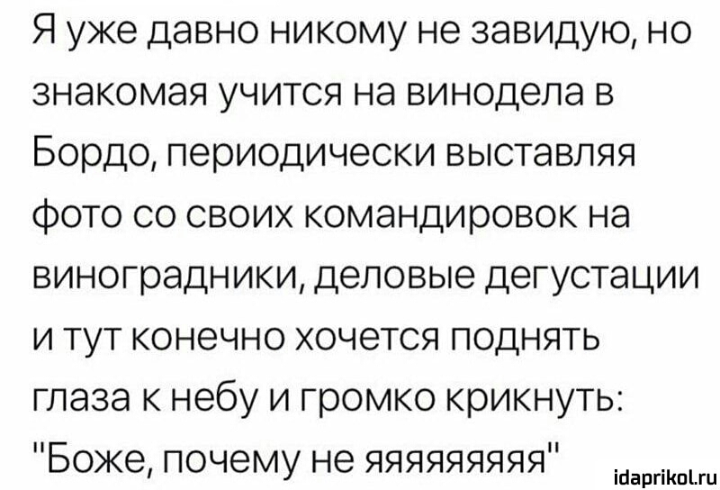 Я уже давно никому не завидую но знакомая учится на винодела в Бордо периодически выставляя фото со своих командировок на виноградники деловые дегустации и тут конечно хочется поднять глаза к небу и громко крикнуть Боже почему не яяяяяяяяя ігіаргіКпіш