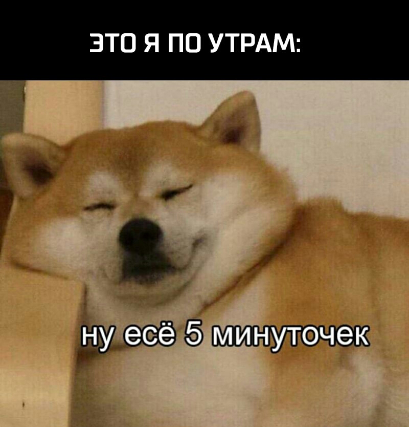 ЗТО Я ПО УТРАМ Ё Бъ б
