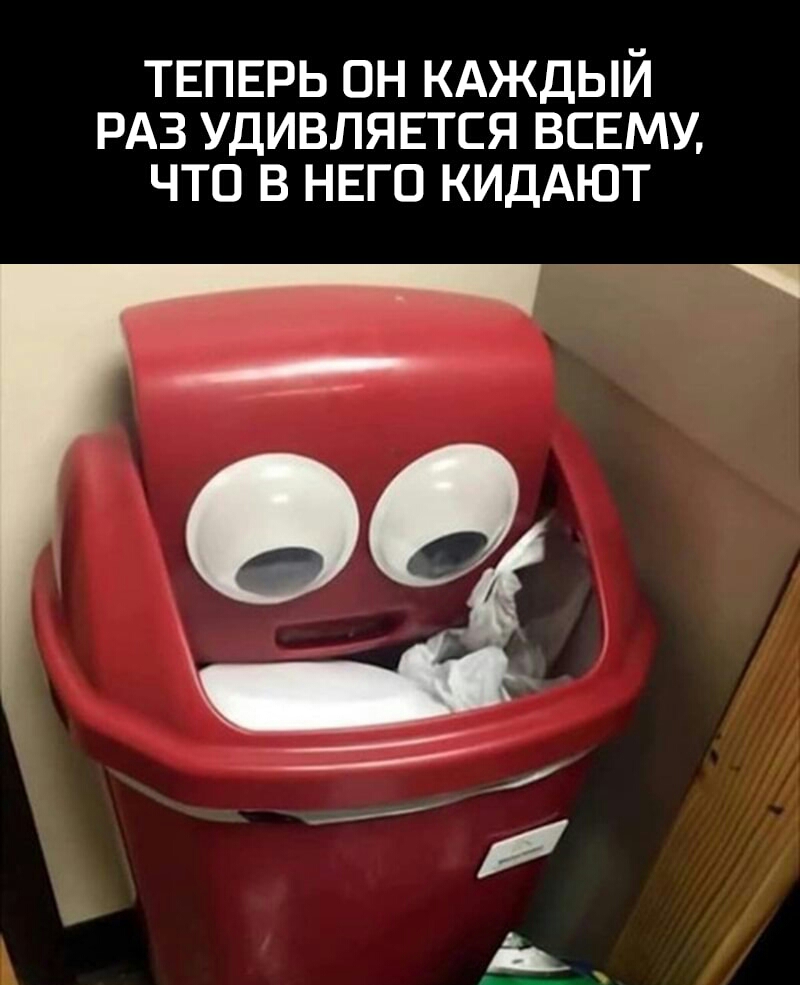 ТЕПЕРЬ ОН КАЖДЫЙ РАЗ УДИВЛЯЕТСЯ ВСЕМУ ЧТО В НЕГО КИДАЮТ