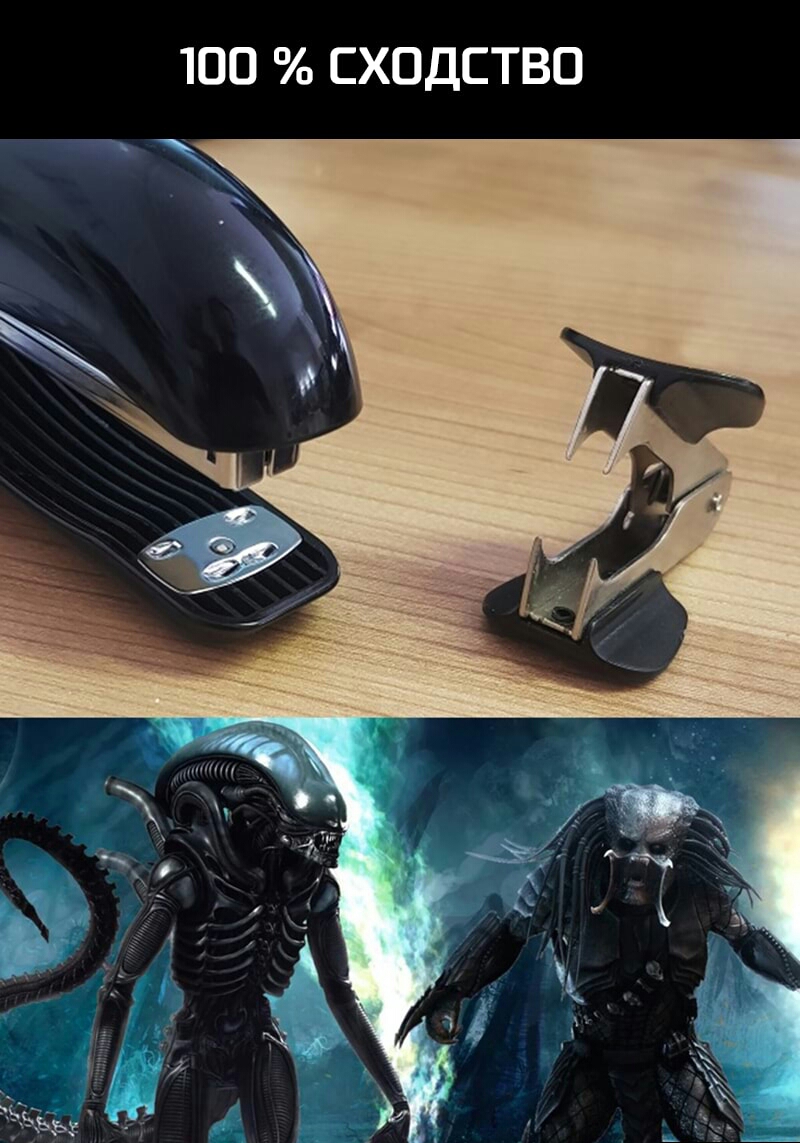 ЮО СХОДСТВО