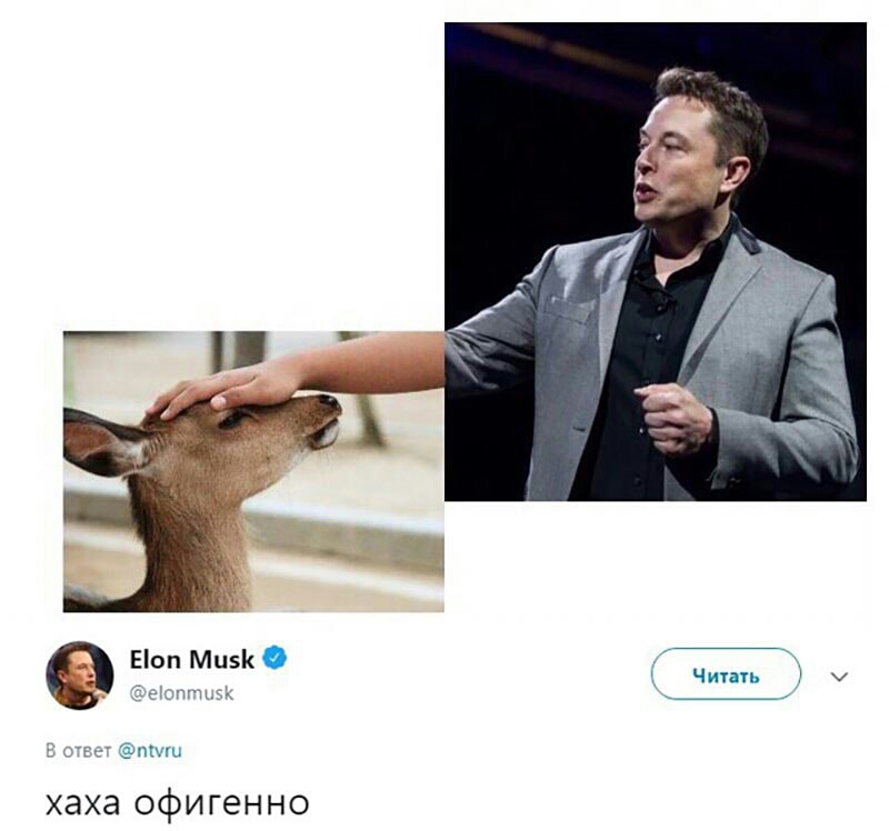 Еіоп Ми д Чипь і с _ _ пмп хаха офигенно
