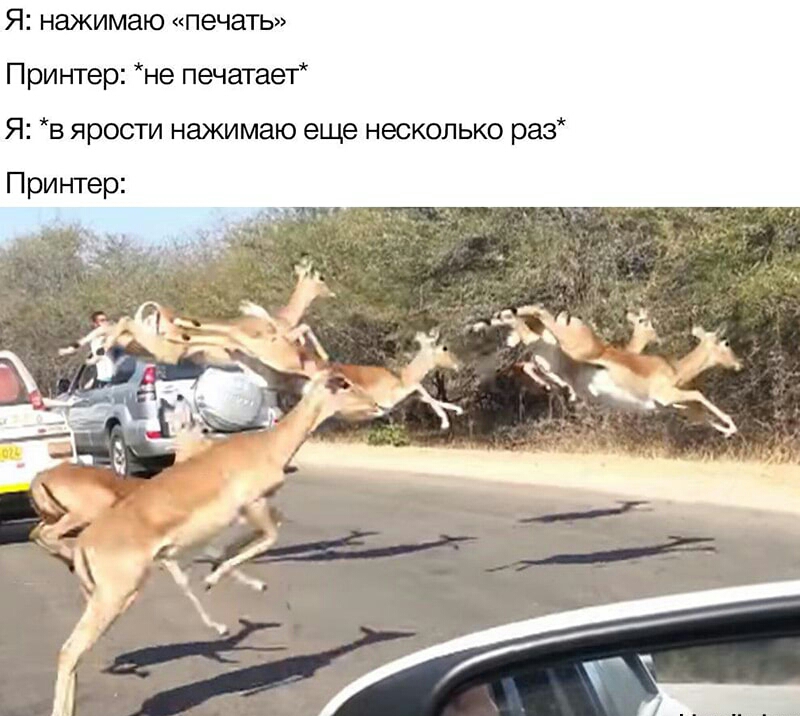Я НЭЖИМЗЮ ПЭЧЭТЬ Принтер не печатает Я в ярости нажимаю еще несколько раз
