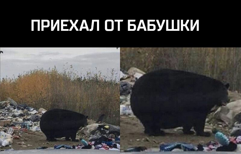 ПРИЕХАЛ ОТ БАБУШКИ