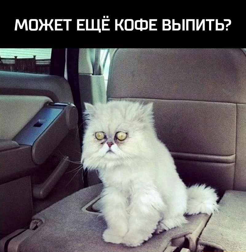 МОЖЕТ ЕЩЁ КОФЕ ВЫПИТЬ
