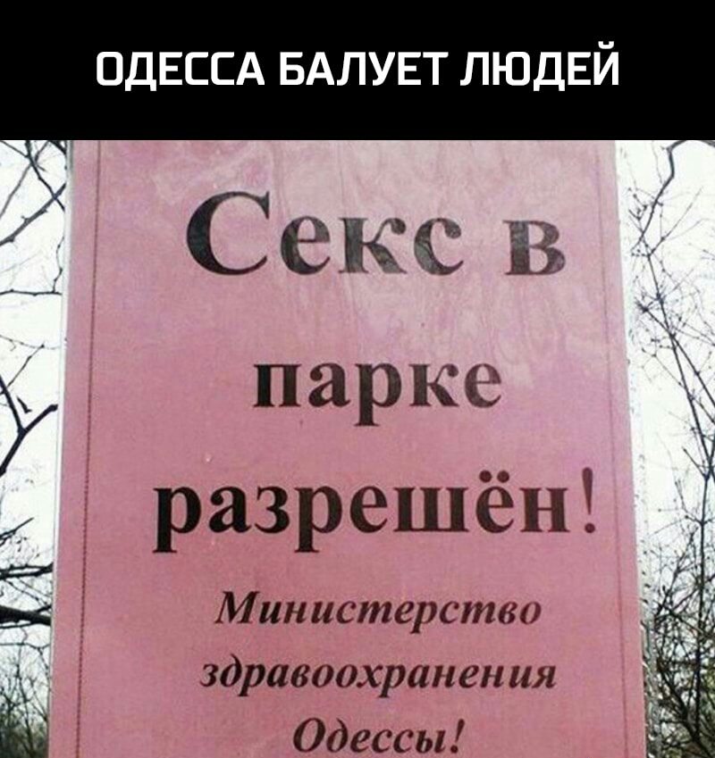 ОДЕССА БАЛУЕТ ЛЮДЕЙ С елка в парке разрешён ЁЭ в Министерство д здравоохранения Ён Одессы