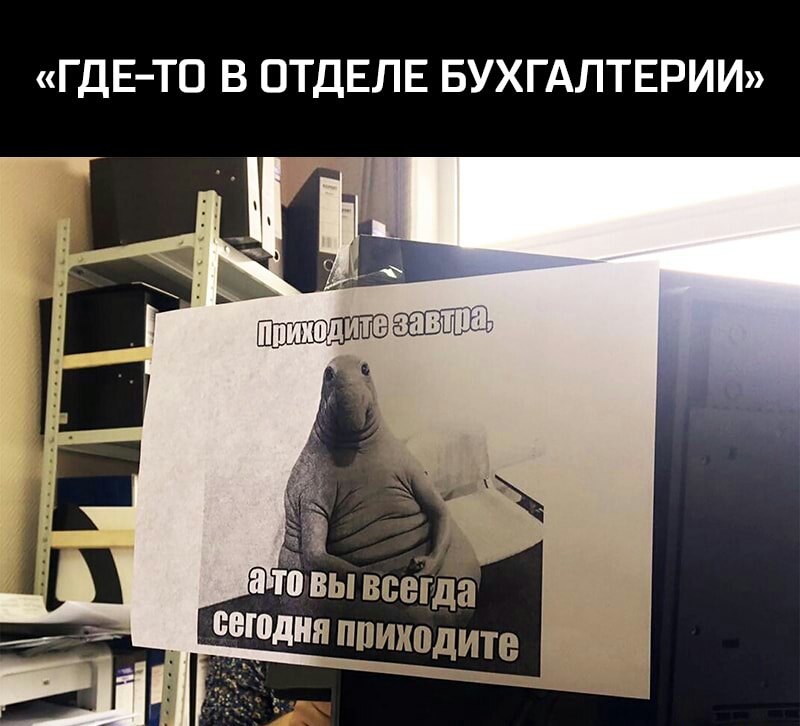 ГДЕ ТО В ОТДЕЛЕ БУХГАЛТЕРИИ