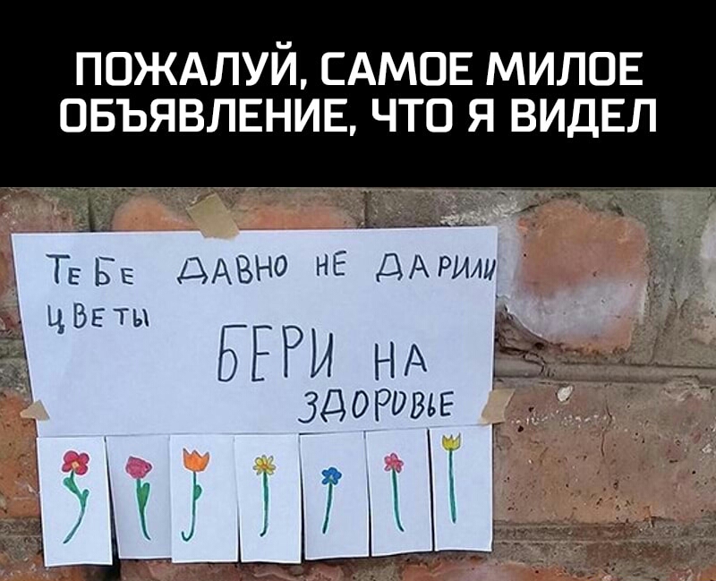 ПОЖАЛУЙ САМОЕ милов овъявлвнив что я ВИДЕЛ Тв Бе дАВНО НЕ ДАРЫш цВЕты ВЕРЫ НА Ёіёд__ Здоровье Г