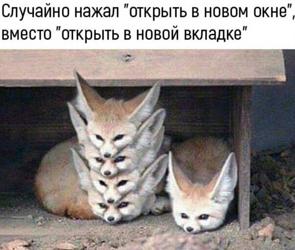 Случайно нажал открыть в новом окне вместо открыть в новой вкладке