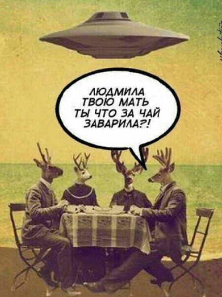 ЛЮДМИЛА ТВОЮ МАТЬ ТЫ ЧТО ЗА ЧАЙ ЗАВАРИМ