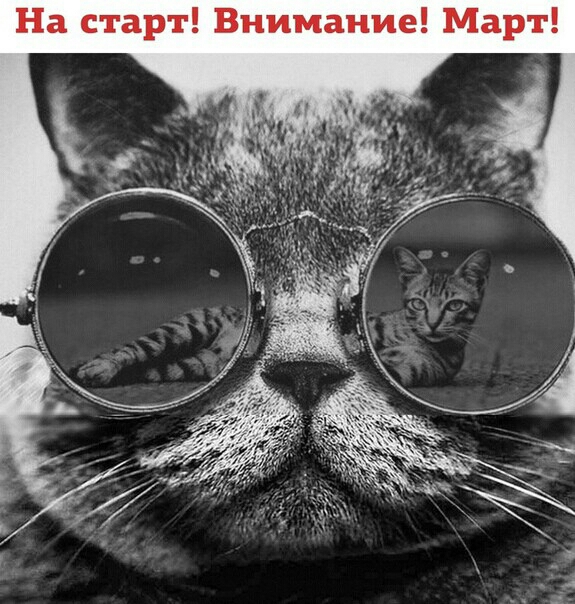 На старт Внимание Март