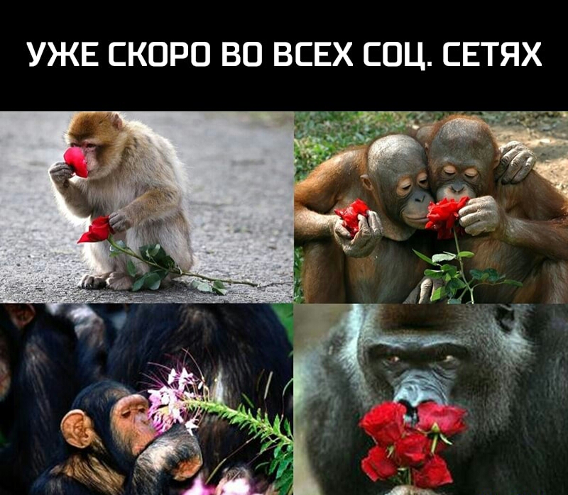 УЖЕ СКОРО ВО ВСЕХ СОЦ СЕТЯХ