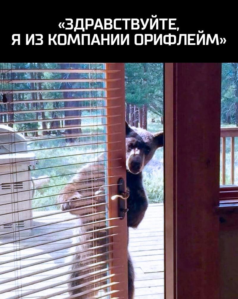 3ДРАВСТВУЙТЕ Я ИЗ КОМПАНИИ ОРИФЛЕЙМ
