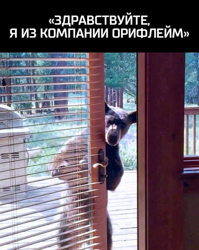 3ДРАВСТВУЙТЕ Я ИЗ КОМПАНИИ ОРИФЛЕЙМ