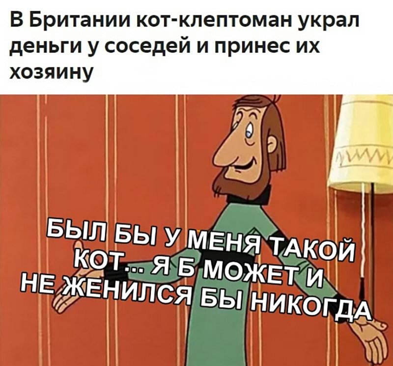 В Британии кот клептоман украл деньги у соседей и принес их хозяину