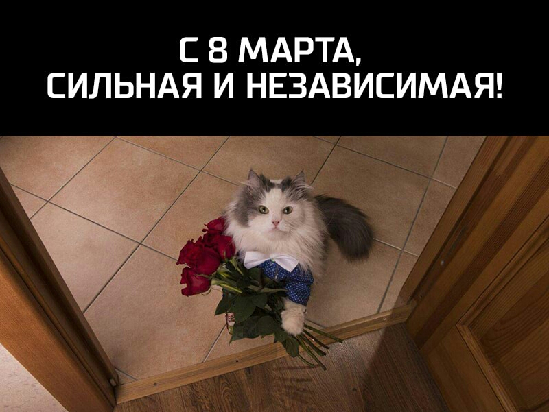 С 8 МАРТА СИЛЬНАЯ И НЕЗАВИСИМАЯ