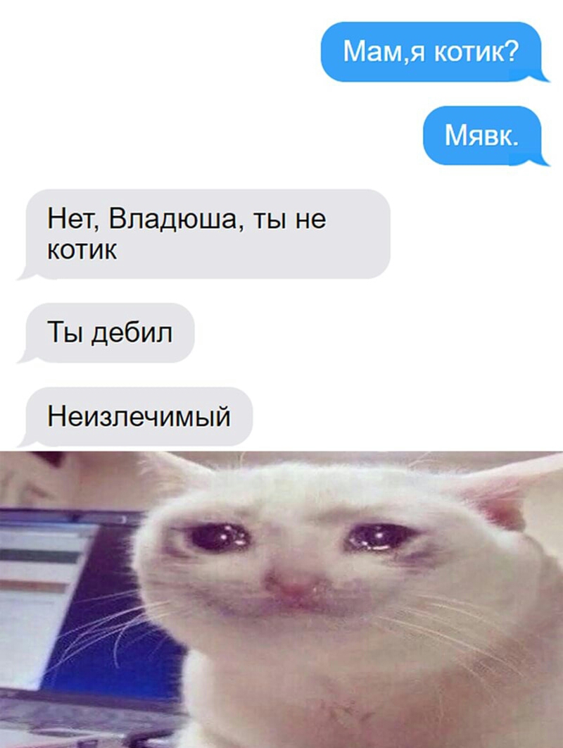 Нет Впадюша ты не котик Ты дебил Неизлечимый
