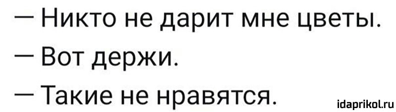 Никто не дарит мне цветы Вот держи Такие не нравятся