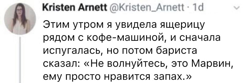 Этим утром я увидела ящерицу рядом с кофе машиной и сначала испугалась но потом бариста сказал Не волнуйтесь это Марвин ему просто НОЭВИТСЯ запах КгізіепАтепыТКгізгешАшеп