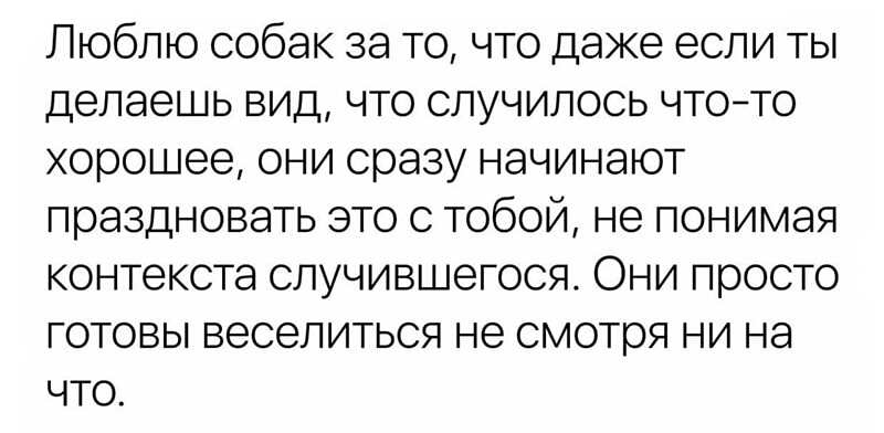 Люблю собак за то что даже если ты делаешь вид что случилось чтото хорошее они сразу начинают праздновать это с тобой не понимая контекста случившегося Они просто готовы веселиться не смотря ни на что
