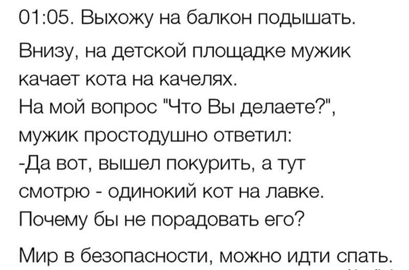 0105 Выхожу на балкон подышать Внизу на детской площадке мужик качает кота на качелях На мой вопрос Что Вы делаете мужик простодушно ответил Да вот вышел покурить а тут смотрю одинокий кот на лавке Почему бы не порадовать его Мир В бЭЗОПЭСНОСТИ МОЖНО ИДТИ спать