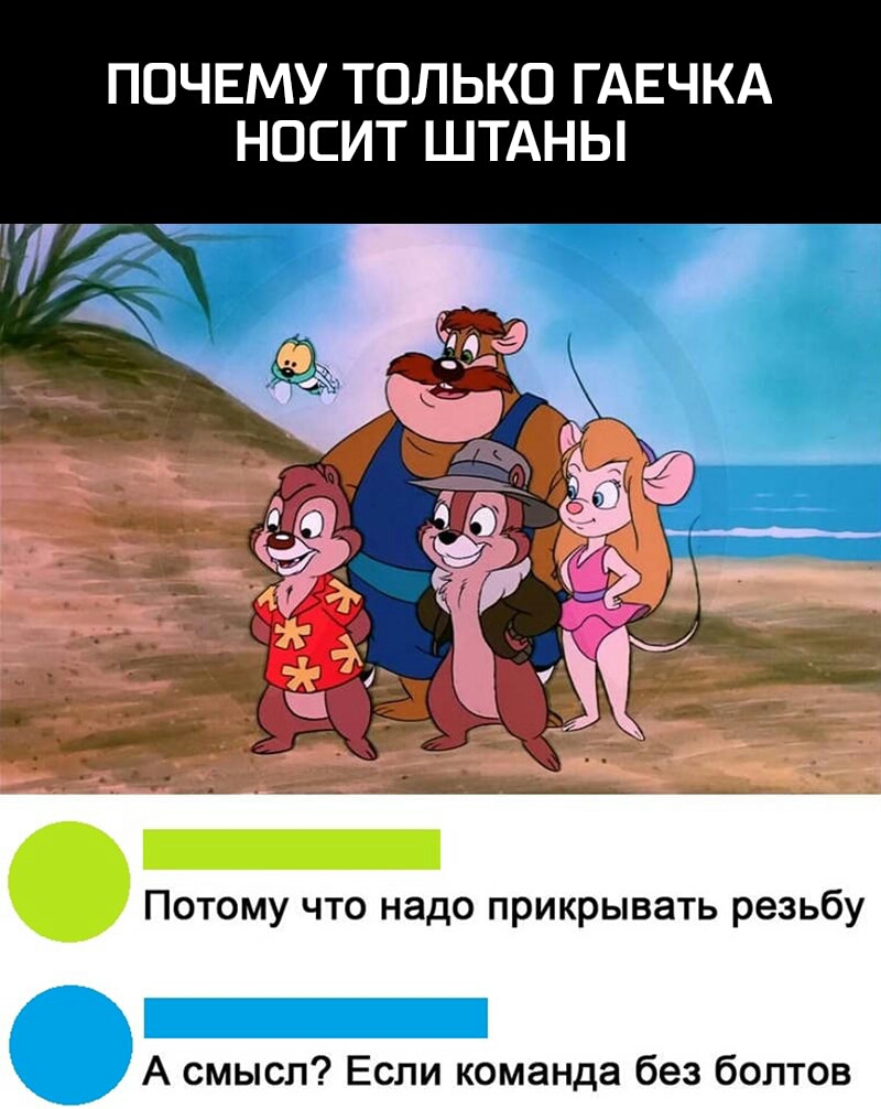 ПОЧЕМУ ТОЛЬКО ГАЕЧКА НОСИТ ШТАНЫ Потому что надо прикрывать резьбу А смысл Если команда без болтов