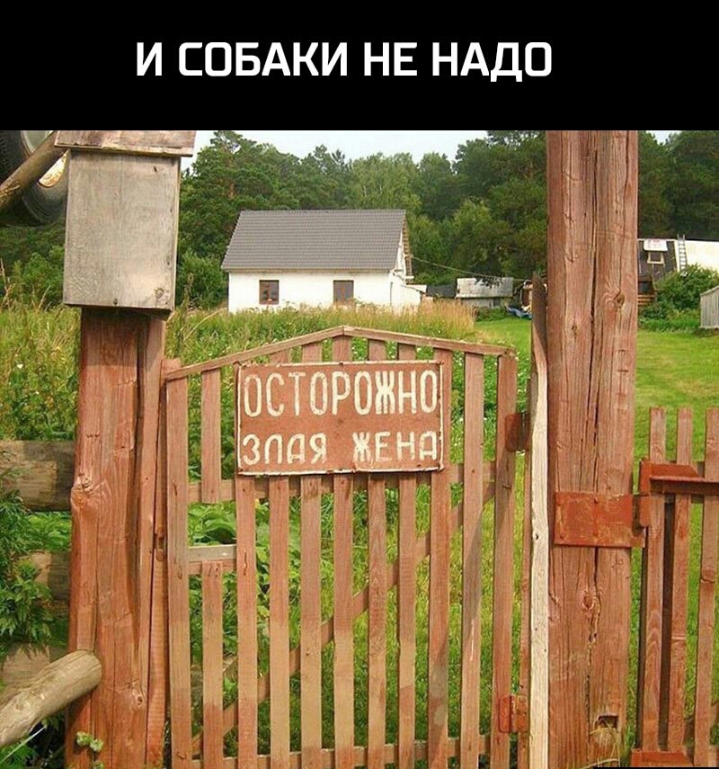 И СОБАКИ НЕ НАДО