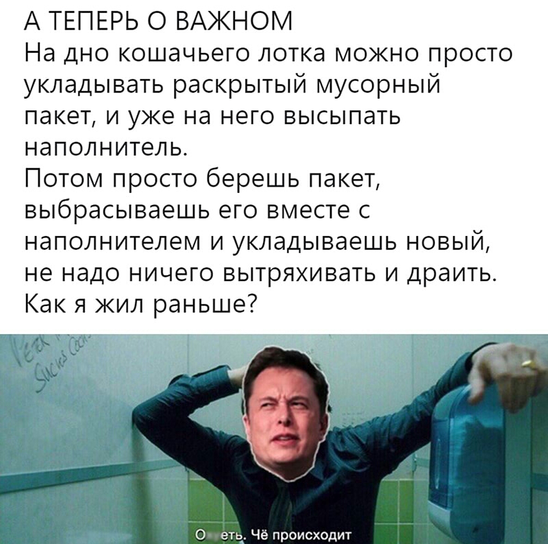 А ТЕПЕРЬ О ВАЖНОМ На дно кошачьего лотка можно просто укладывать раскрытый мусорный пакет и уже на него высыпать наполнитель Потом просто берешь пакет выбрасываешь его вместе с наполнителем и укладываешь новый не надо ничего вытряхивать и драить Как я жил раньше ж О еть Чё происходит