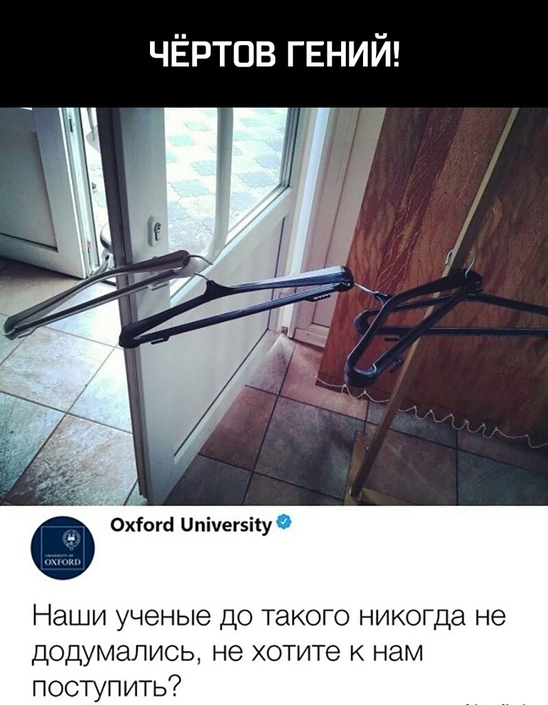 чёртов гвний А Охіогсі Цпічегзііу Наши ученые до такого никогда не додумались не хотите к нам поступить