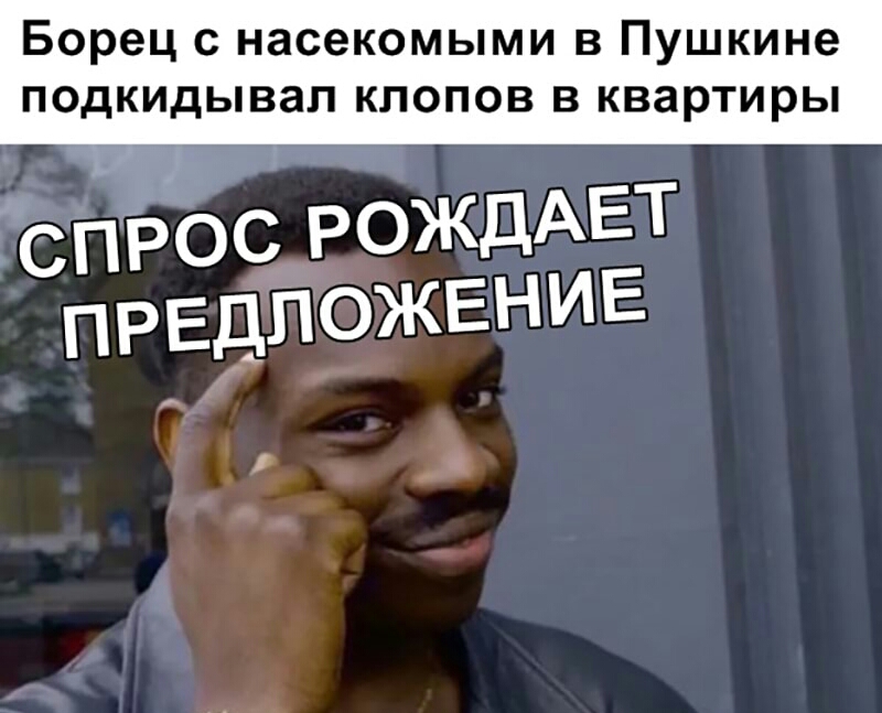 Борец с насекомыми в Пушкине подкидывал клопов в квартиры