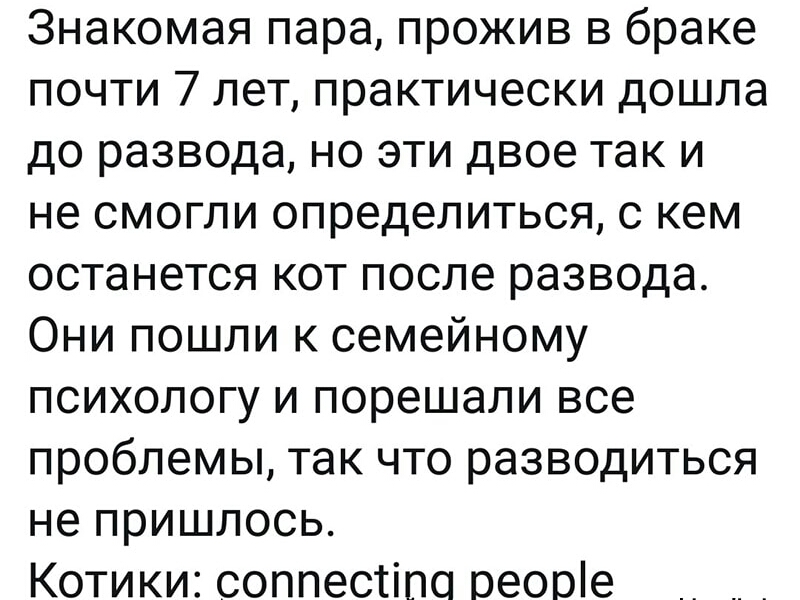 Знакомая пара прожив в браке почти 7 лет практически дошла до развода но эти двое так и не смогли определиться с кем останется кот после развода Они пошли к семейному психологу и порешали все проблемы так что разводиться не пришлось Котики соппестіпа оеоріе