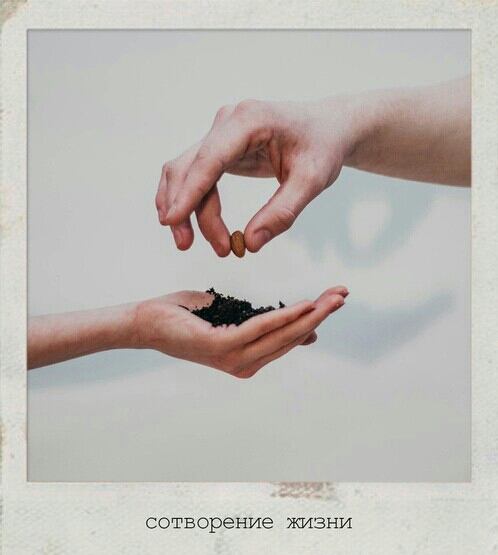 сотворение ЖИЗНИ