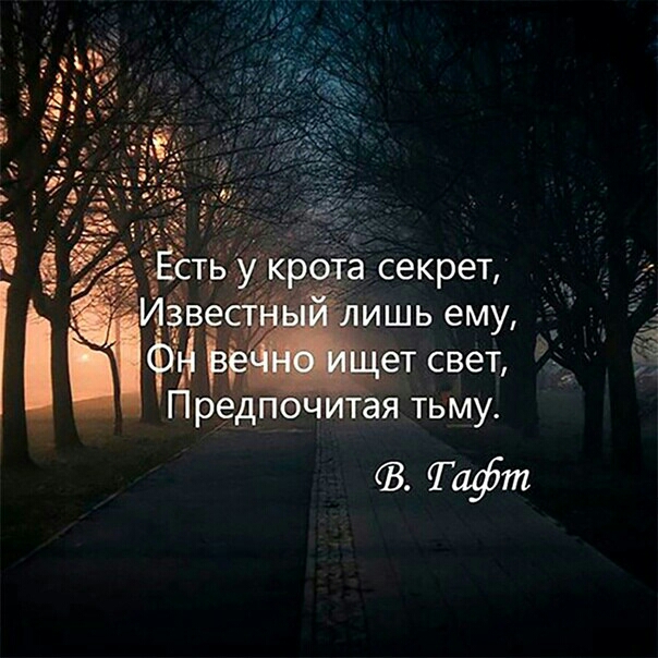Тафт