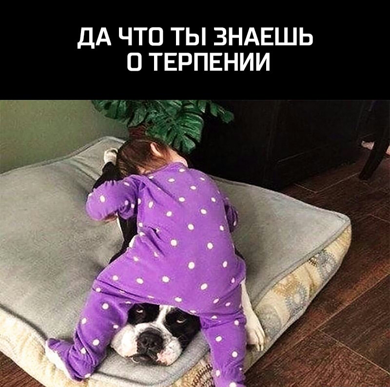 ДА ЧТО ТЫ ЗНАЕШЬ О ТЕРПЕНИИ