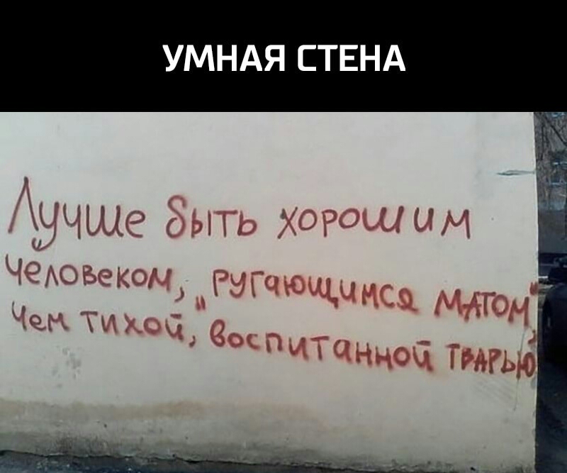 УМНАЯ СТЕНА