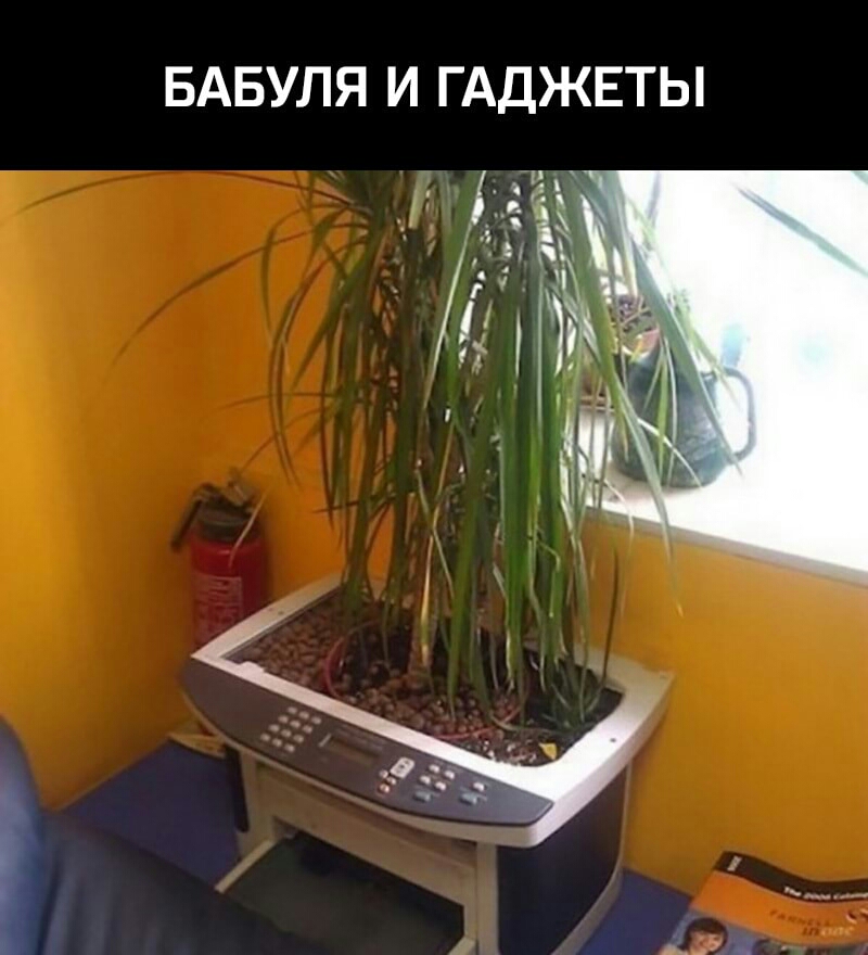 БАБУЛЯ И ГАДЖЕТЫ
