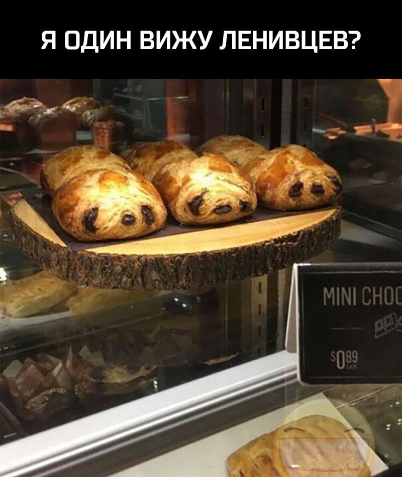 Я ОДИН ВИЖУ ЛЕНИВЦЕВ _ _ _ _ __ _ __флг 4 и