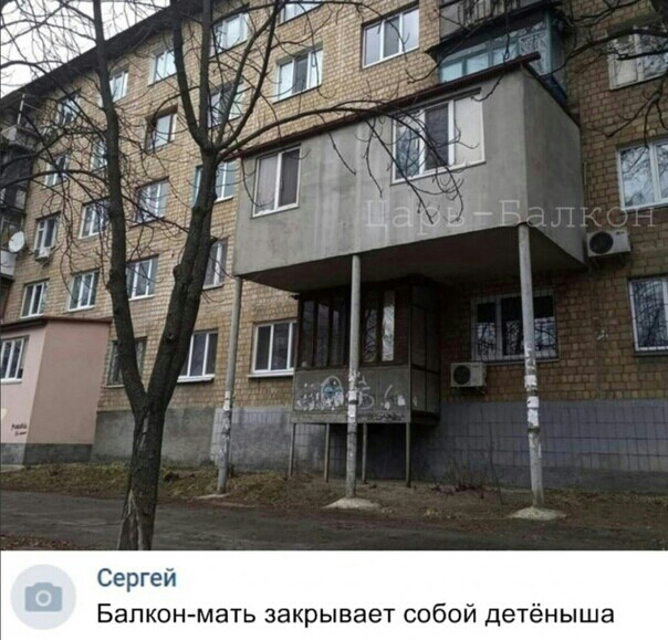Сергеи Балкон мать закрывает собой детёныша