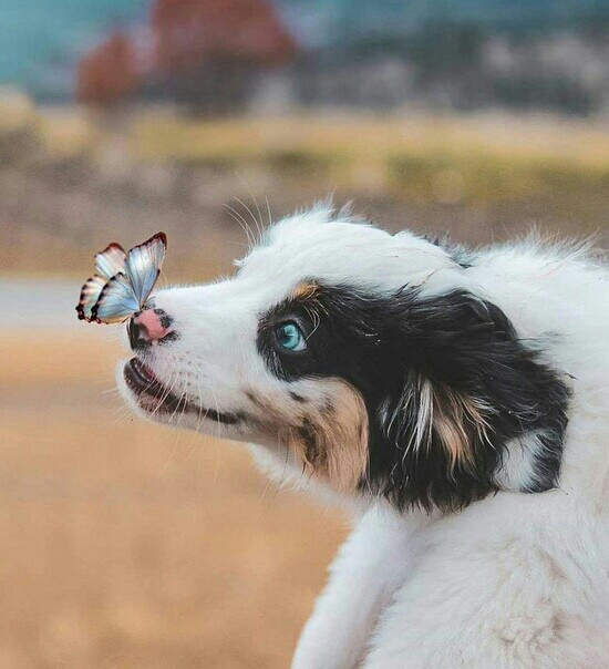 Ё
