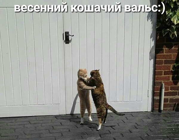 ЗЭЗЭНЫИЙ юшчшгзші с