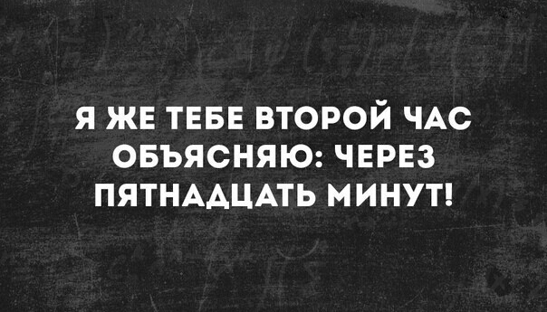 Я ЖЕ ТЕБЕ ВТОРОЙ ЧАС ОБЪЯСНЯЮ ЧЕРЕЗ ПЯТНААЦАТЬ МИНУТ