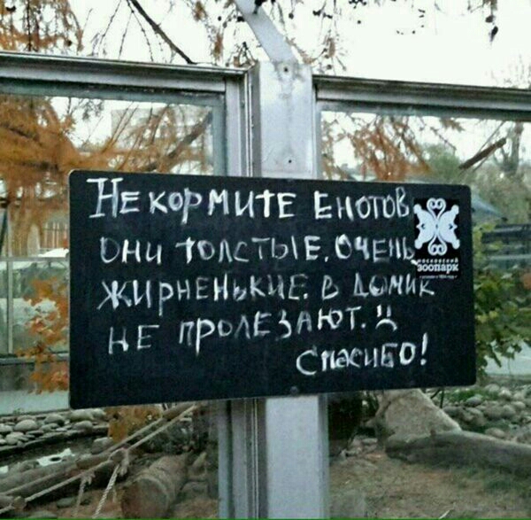 НЕ кормит Енот и 1ыЕСЧЕъ _ РнъНьюц мм и ПРЪАСЭНЮТЩ стихи 0 Н 1 г і Ёе 1 _ и