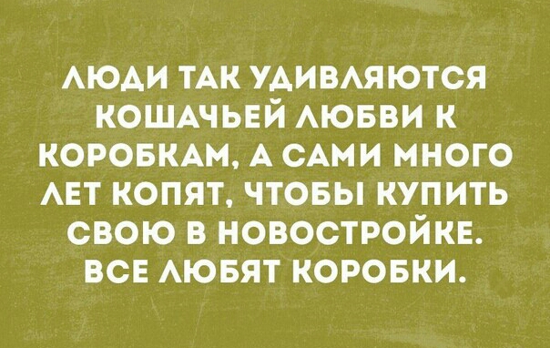 АЮАИ ТАК УАИВАЯЮТСЯ кошщызй АЮБВИ к коровкш А сАми много АЕТ копят чтовы купить свою в новостройке все АЮБЯТ коровки
