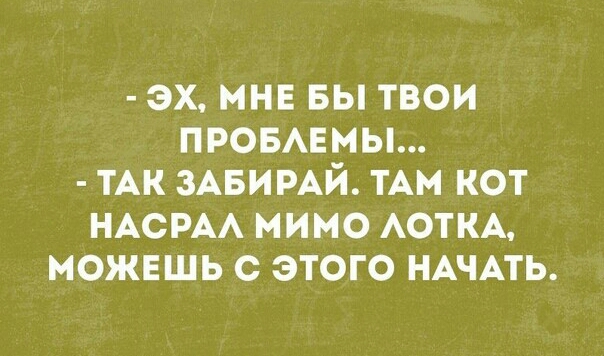 ЭХ МНЕ БЫ ТВОИ ПРОБАЕМЫ ТАК ЗАБИРАЙ ТАМ КОТ НАСРАА МИМО АОТКА МОЖЕШЬ С ЭТОГО НАЧАТЬ