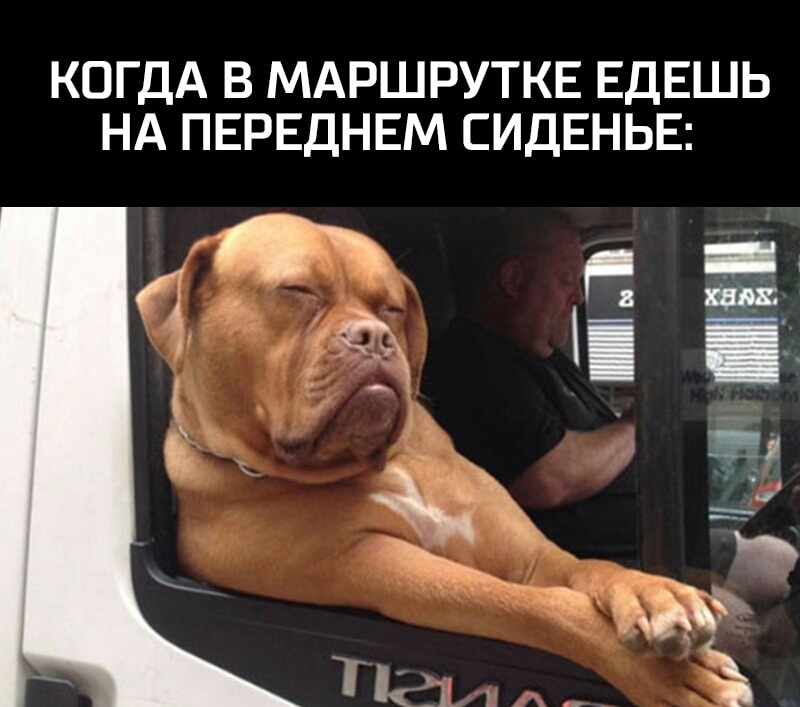 КОГДА В МАРШРУТКЕ ЕДЕШЬ НА ПЕРЕДНЕМ СИДЕНЬЕ