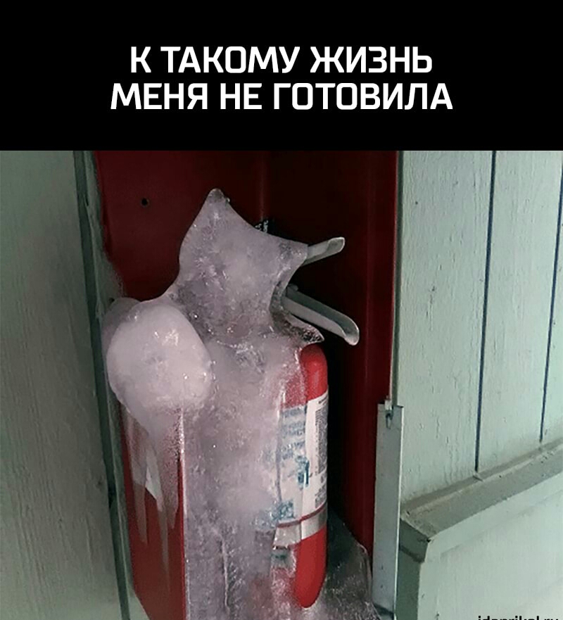К ТАКОМУ ЖИЗНЬ МЕНЯ НЕ ГОТОВИЛА