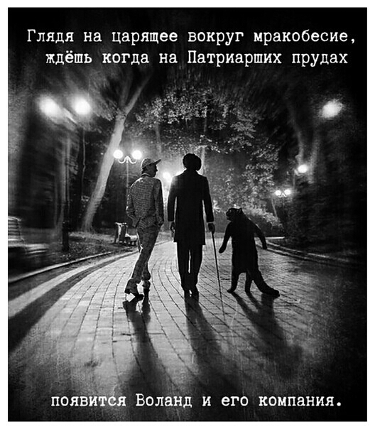 Глядя на цврящее вокруг мракобесие ждёшь кошка на Патриарших прудах