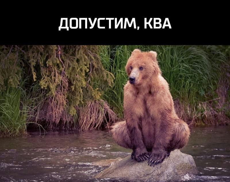 ДОПУСТИМ КВА