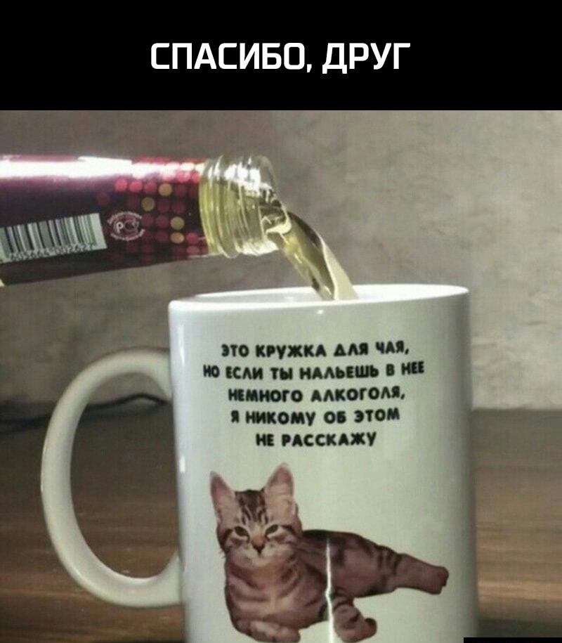 СПАСИБО ДРУГ ч по ужи мя по или ты ими што мигом жопу о поп и песках