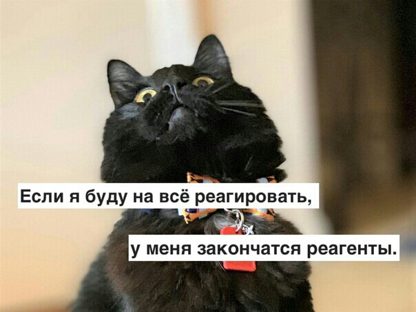 Если я буду на всё реагировать у меня ЗЗКОНЧЗТСП реагенты